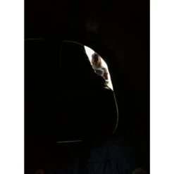 Coleman Valdes Deluxe 4xl Air Blackout Tent 13 Coleman Valdes Deluxe 4xl Air Blackout Tent -Outwell Shop 2000037563 16